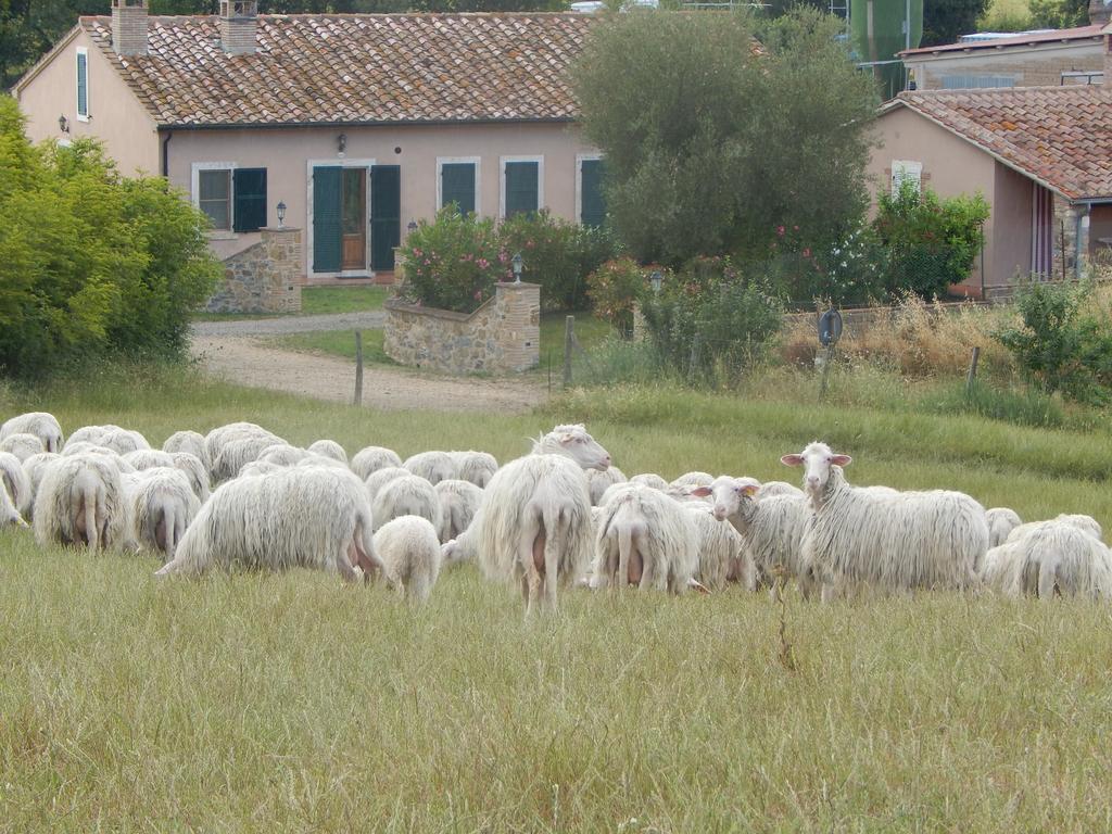Piane Del Bagno Saturnia Exterior foto